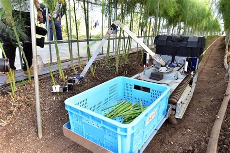 Japan Tech Venture Gets Autonomous Vegetable Harvesting Robot Into The