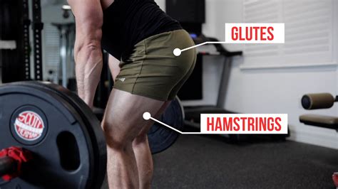 3 Exercises To Build Bigger Glutes And Hamstrings Muscular Strength