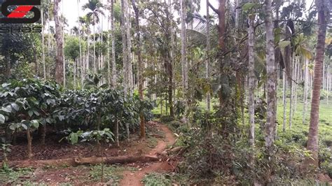 With options to book now and pay when you stay, you have peace of mind. 5 acre land for sale in Wayanad, Sulthan Bathery