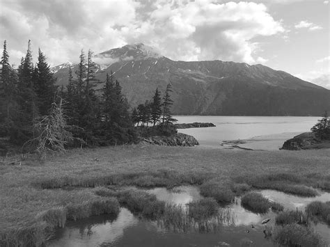 Bird Point Overlooking Turnagain Arm Alaska Photo In Black And White