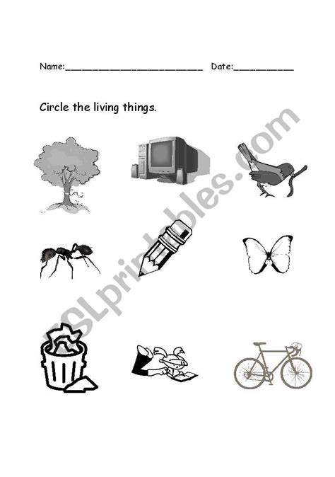 Circle The Living Things Worksheet Have Fun Teaching