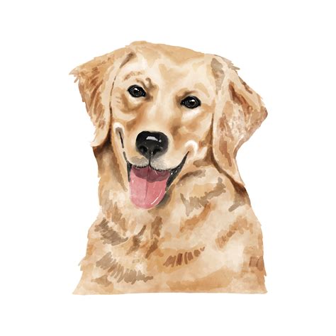 Dog Golden Retriever Watercolor Painting Adorable Puppy Animal