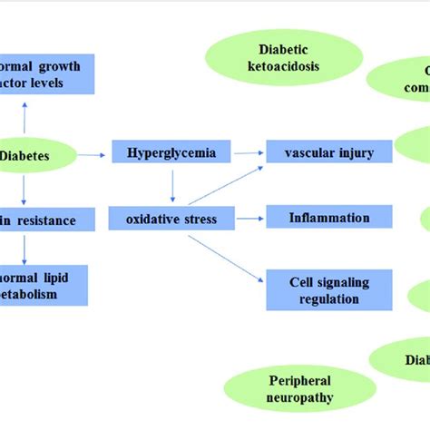 The Molecular Pathogenesis Of Diabetes Mellitus And Its Complications