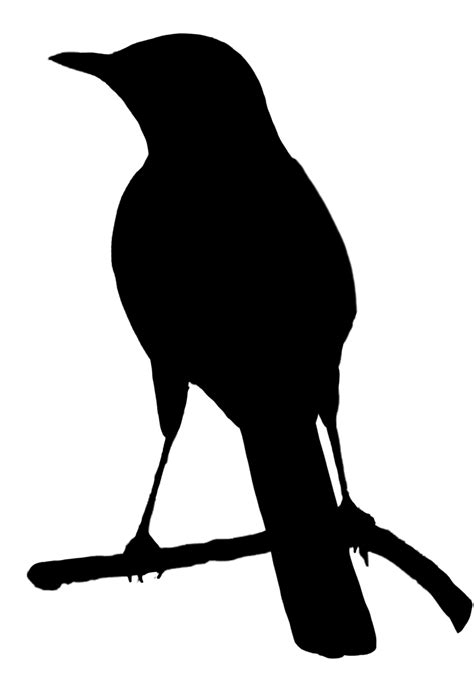 Transparent Flying Crow Silhouette Image Type Image Png Resolution