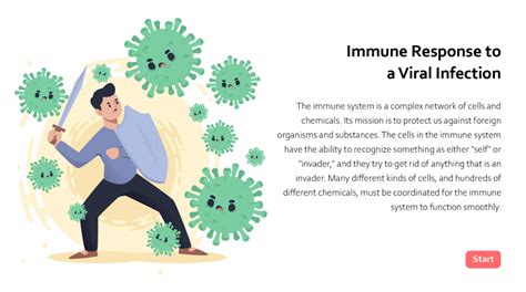 Immune Response To A Viral Infection Elearning
