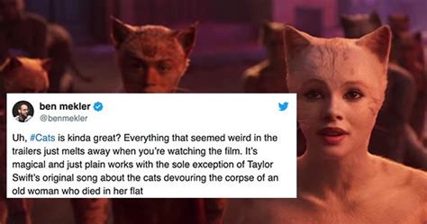 Twitter Is Having Far Too Much Fun With The Movie Reviews For Cats