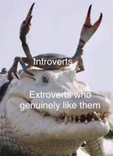 having an extroverted friend as an introvert can be exhausting yet i find it very rewarding