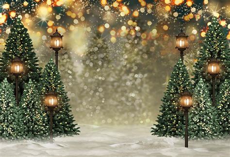 Outdoor Christmas Trees Lights Flashing Backdrop G 1440 Dbackdrop