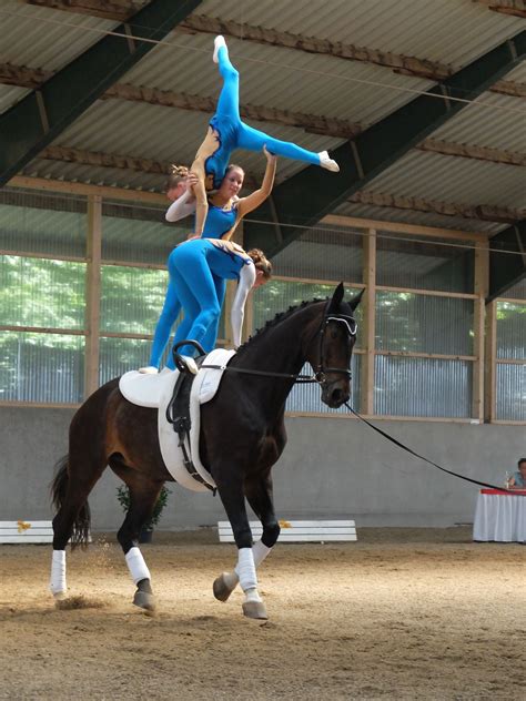 Gymnastics On Horseback Vaulting Equestrian Horse Vaulting Trick Riding