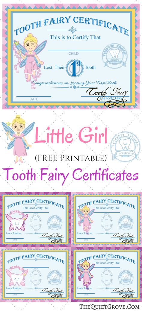 Free Printable Tooth Fairy Certificates Tooth Fairy Certificate