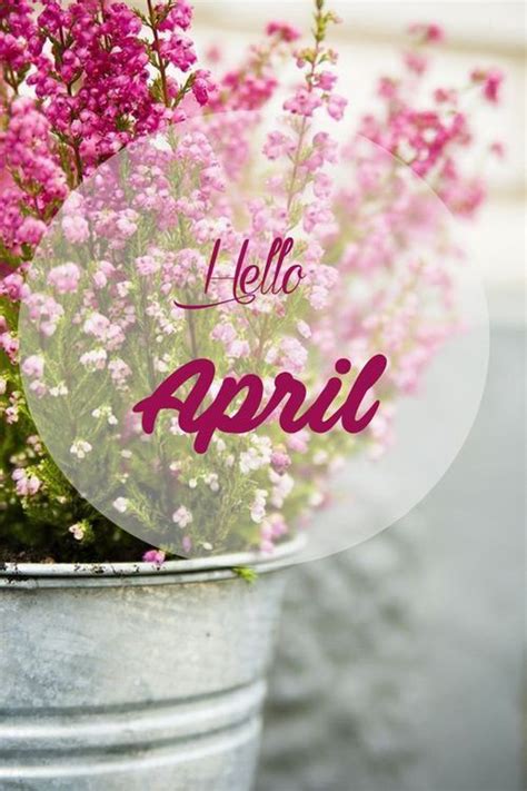 Hello April Pictures Photos And Images For Facebook Tumblr