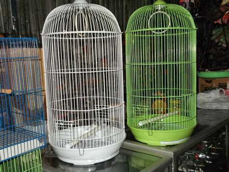 We did not find results for: Nyari Sangkar Lovebird? Silahkan Baca pedomanya disini dulu