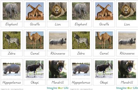 Click here for a list of facts about the animals of africa. Animals of Africa for the Montessori Wall Map & Quietbook with Printables | Imagine Our Life