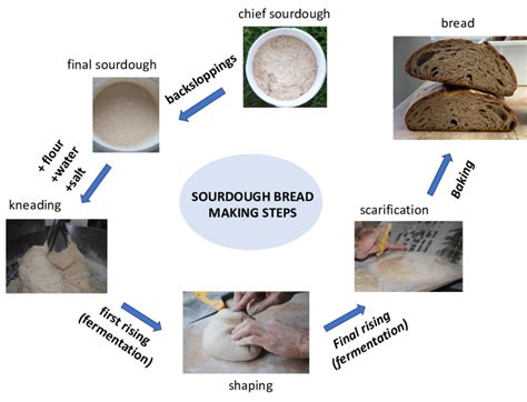 The Sourdough Bread Making Process Sourdough Is A Mix Of Flour And