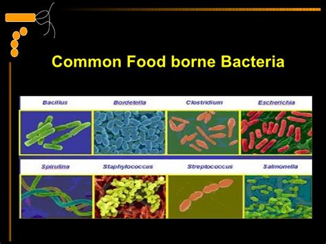 Cleanroom contaminants can be divided into four major categories, physical contaminants, chemical contaminants, viable/microbial contaminants and. Final food contamination
