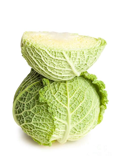 Fresh Ripe Cabbage Photograph By Alstair Thane Fine Art America
