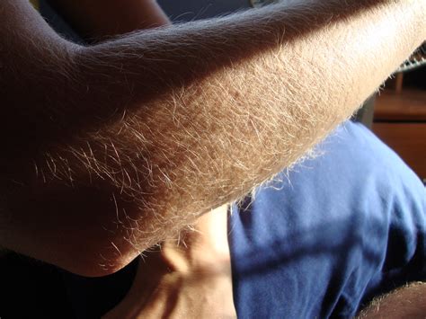 Blonde Hairy Arms Jdevious1 Flickr