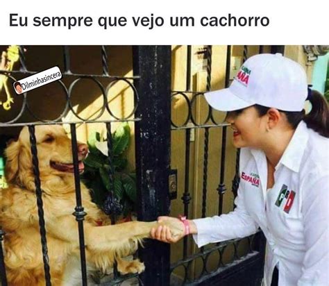 Peca Que Eu Faco Onde Que Eu Te Sigo