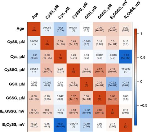 A Heat Map Representation Of The Spearman Correlation Matrix Of The