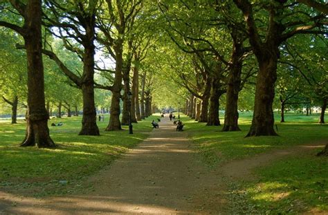 Green Park Londres Descubre Qué Ver Y Cómo Llegar