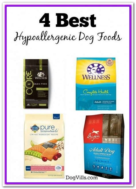 The goal of homemade dog food recipes is to create a balanced diet that beats what you can get in your local pet food aisle. The Best Food For Dogs With Skin Allergies ...