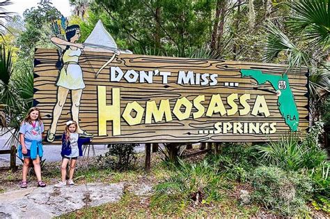 Homosassa Springs Florida State Park Jacksonville Beach Moms