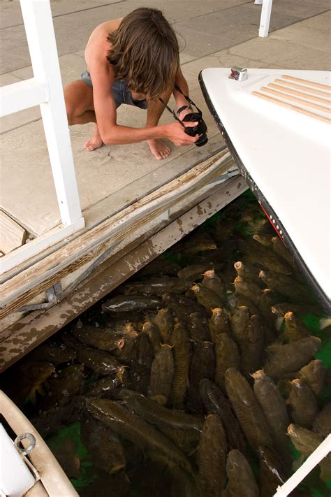 We did not find results for: Andrew photographing Lake Mead carp | Lolo's Extreme Cross ...