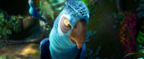 Image Rio 2 Official Trailer 3 13 Rio Wiki Fandom Powered By