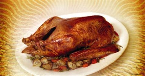 Your Goose Is Cooked Goose Recipes Roast Goose Recipes Cooking
