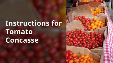 Difference Between Tomato Concasse And Tomato Puree Youtube