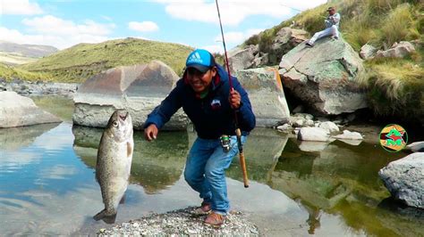 Gran Pesca De Truchas En RÍo Espinar Truchas Arcoiris River Trout