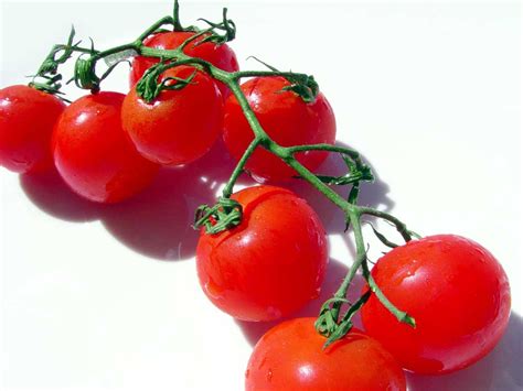 Cherry tomatoes © denzil green cherry tomatoes are very small, sweet tomatoes, generally an inch (2.5 cm) or less in diameter. GardenSeed: Large Red Cherry Tomato