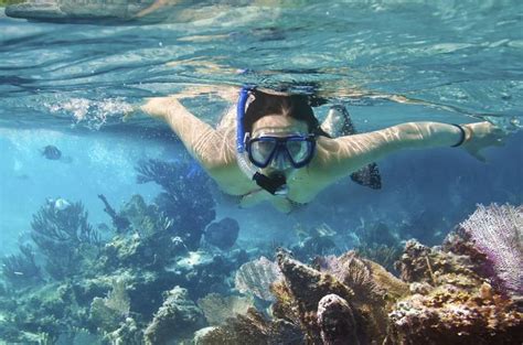 🤿 The 5 Best Cozumel Snorkel Tours 2023 Reviews World Guides To Travel