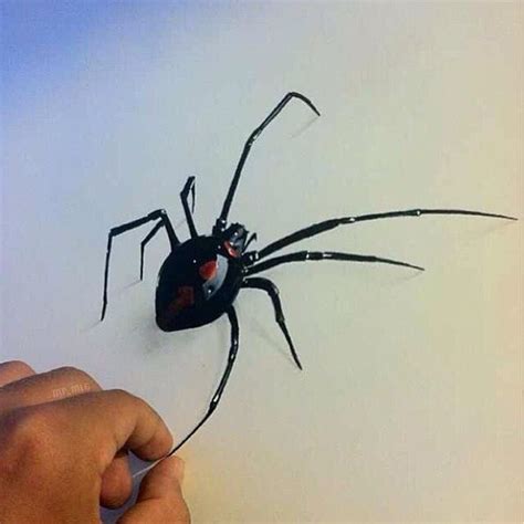 This clipart image is transparent you can download (600x478) black widow spider drawing png clip art for free. Black widow #spider art #drawing #sketch colored pencils ...
