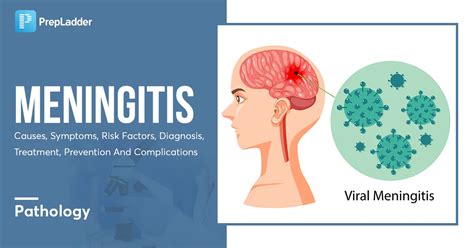 Meningitis Causes Symptoms Risk Factors Diagnosis Treatment