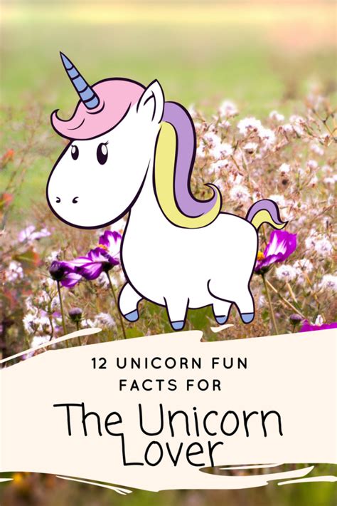 12 Unicorn Fun Facts For The Unicorn Lover