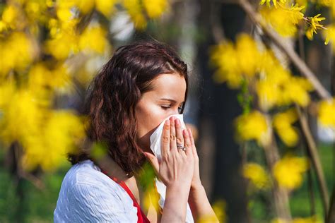 Semne Ale Alergiilor Sezoniere Cum Evi I Simptomele Alergiei La Polen Sinulan