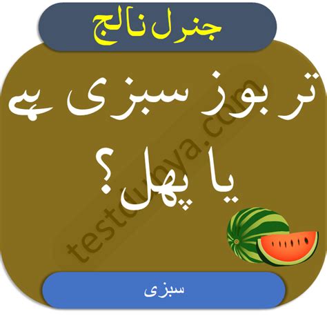 Common Sense Questions With Answer In Urdu • Testdunya