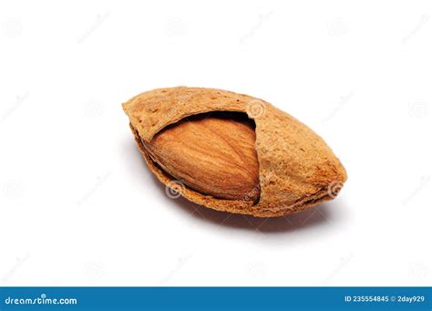 Single Almond In Cracked Shell Drupe Nut Food Object Edible Seed