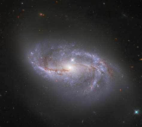 Hubble Looks At Peculiar Spiral Galaxy Scinews