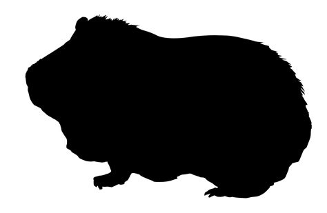 Hamster Clipart Silhouette Hamster Silhouette Transparent Free For