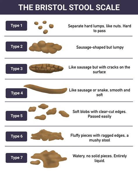 Bristol Stool Chart The Different Types Of Poop Goodrx 40 Off