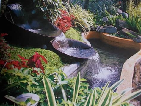 Tropical Garden With Water Feature Curated By Blue Valley Aquatic