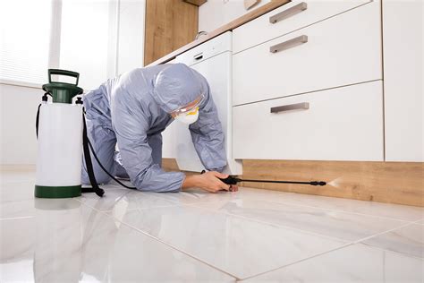 Choosing The Right Pest Control Company Every Day Home And Garden