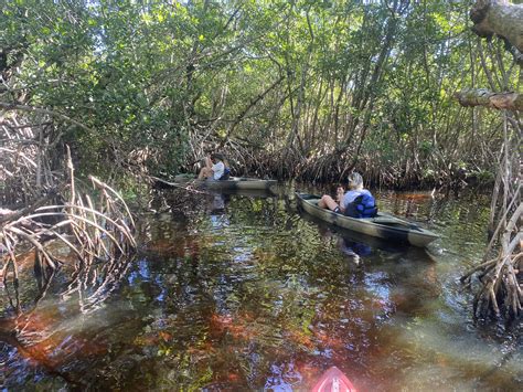 Kayak Tours In The Everglades See The Real Everglades With Us