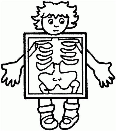 Human Body Coloring Pages Coloring Home