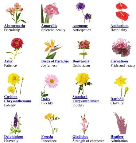 Flower Symbolism | Flower chart, Flower meanings chart, Flower meanings