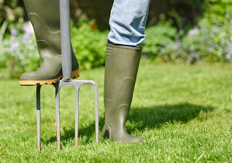 Lessons For Aerating Your Lawn Best Pick Reports