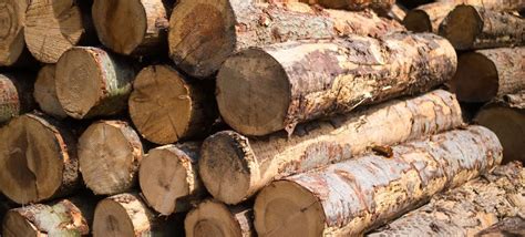Maybe you would like to learn more about one of these? The Log People blog - 10 log commandments for wood burning