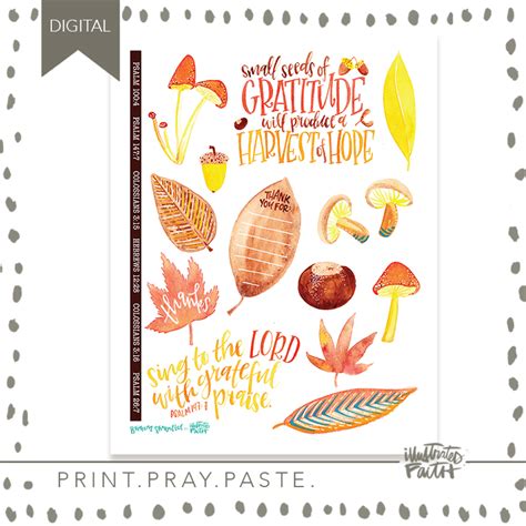 Seeds Of Gratitude Illustrated Faith